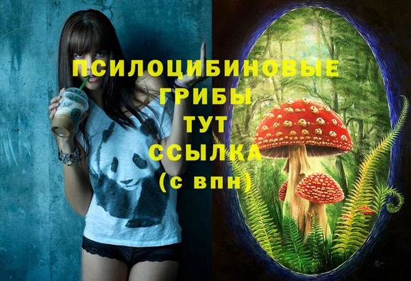 дживик Яранск