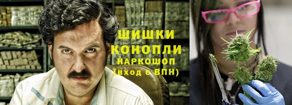 спиды Ладушкин