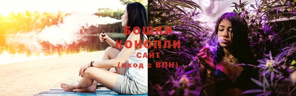 спиды Ладушкин