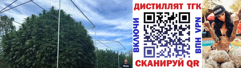 Дистиллят ТГК Wax  купить наркотики цена  Самара 