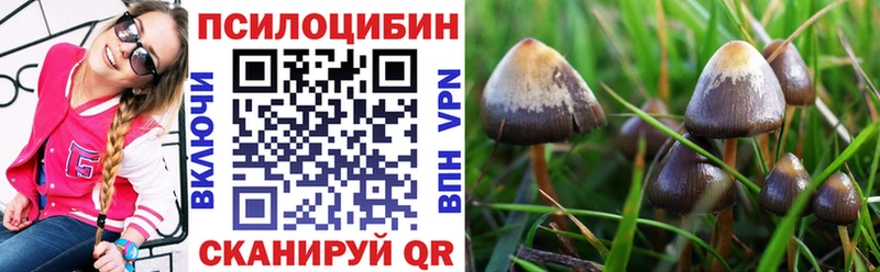 Галлюциногенные грибы GOLDEN TEACHER  omg вход  Самара  где найти наркотики 