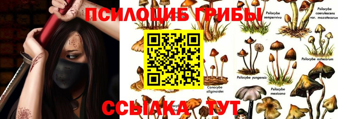 Псилоцибиновые грибы Psilocybine cubensis Самара