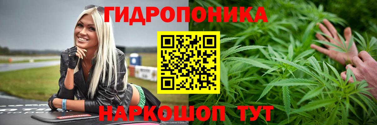 Канабис AK-47  Вход с VPN  Бошки Шишки марихуана  Бошки марихуана THC 21%  Самара 